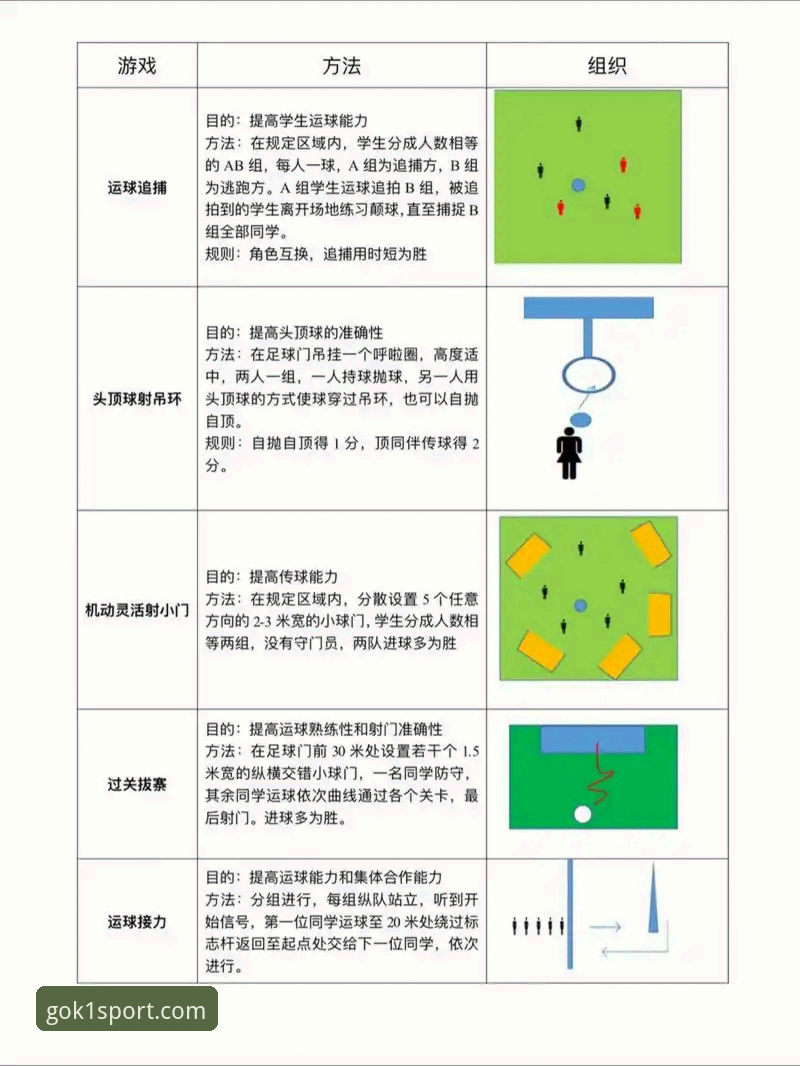 如何快速掌握中国体育平台官网教程？解析K1体育的使用全流程